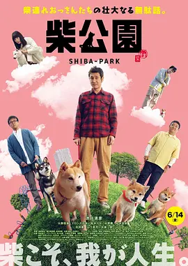 女性已婚故事